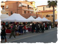 /album/galleria-foto-homepage/a223083-1826206909243-4746321-n-1-jpg/