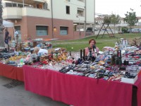 /album/galleria-foto-homepage/a20120727-203403-1-jpg/