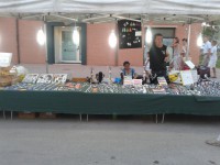 /album/galleria-foto-homepage/a20120727-203517-1-jpg/