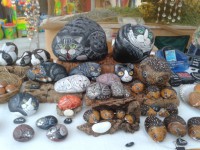 /album/galleria-foto-homepage/a20120727-204652-jpg1/